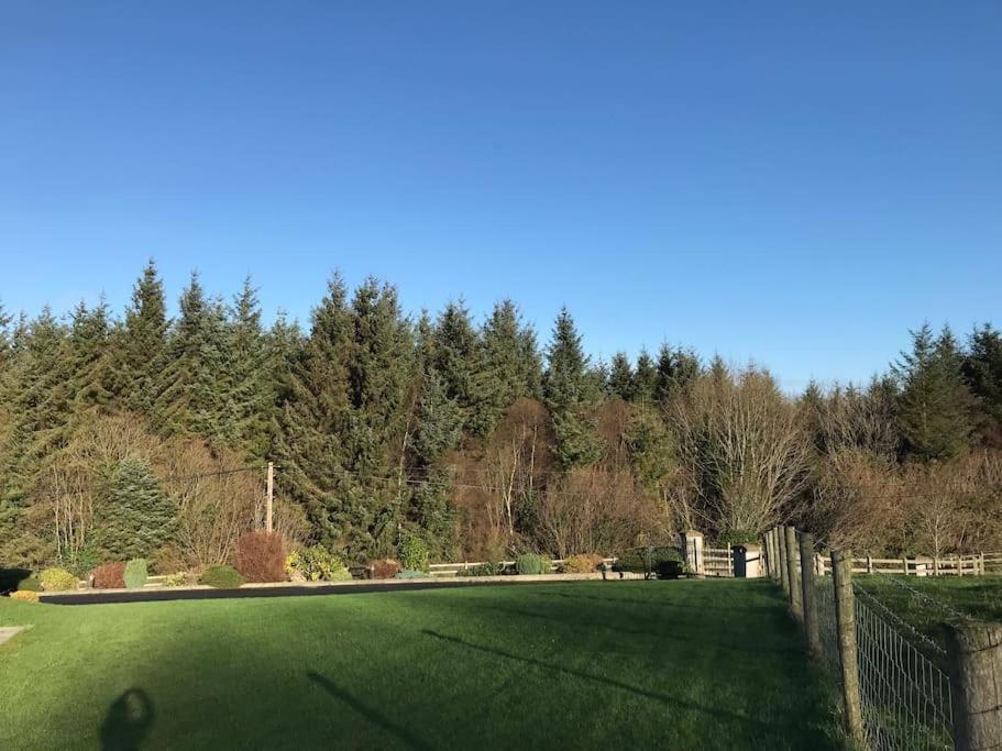 Forest View - Castlewellan, County Down Belfast Extérieur photo